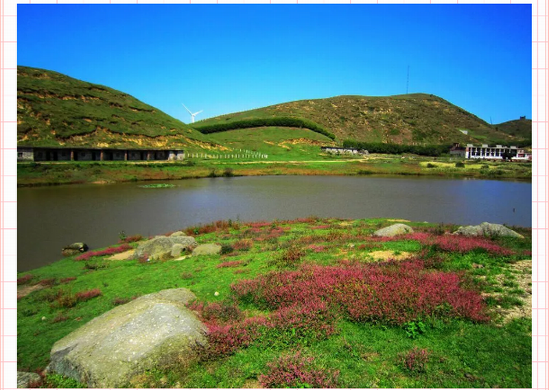 【心靈自駕】‖我不是“藥神”‖但是我這可以安放你那放蕩不羈的心。_門(mén)票預(yù)訂